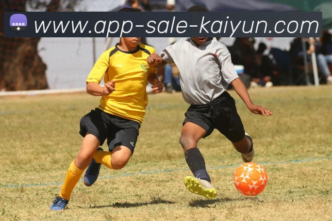 开云app平台生态图