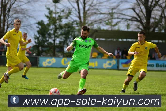 开云appAPP 封面图